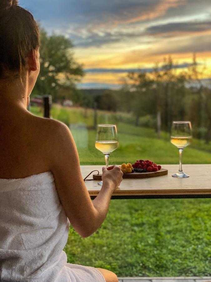Wellness Hiska Robida Apartman Ljutomer Kültér fotó